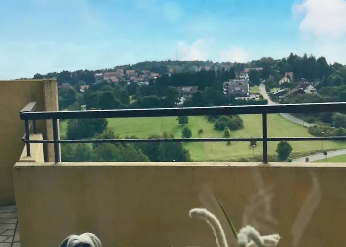 App 587 Mit Schwimmbad Und Sauna Im Panoramic Hohegeiss Daire Braunlage